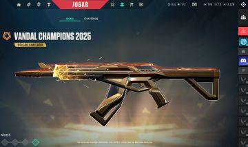 Continha de valorant com varias skins e upada
