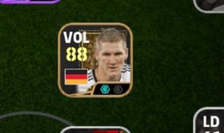 Iniciante do Schweinsteiger Insano