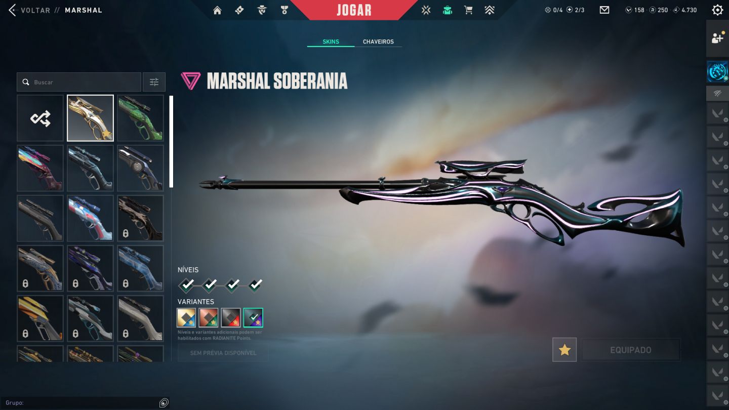 Conta valorant com muita variedade de skins