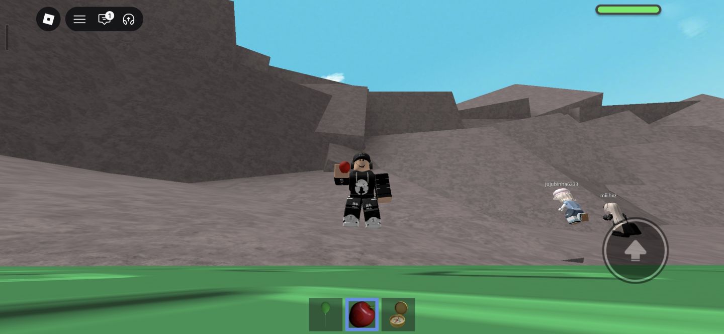 CONTA DO ROBLOX ALGUMAS SKINS E ALGUNS JOGOS.