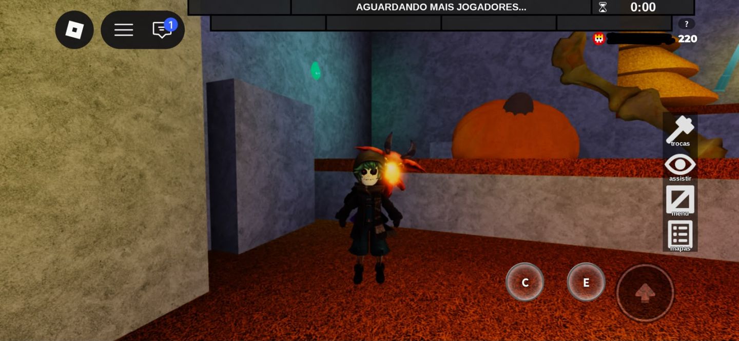 CONTA DE ROBLOX FOCADA EM FLEE THE FACILITY