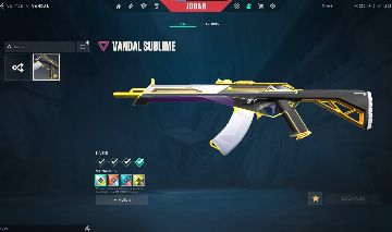 CONTA VALORANT COM VANDAL SUBLIME