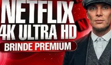 NETFLIX 4K ULTRA HD 30 DIAS | 1 TELAS COM PIN + BRINDE [ENTREGA MANUAL