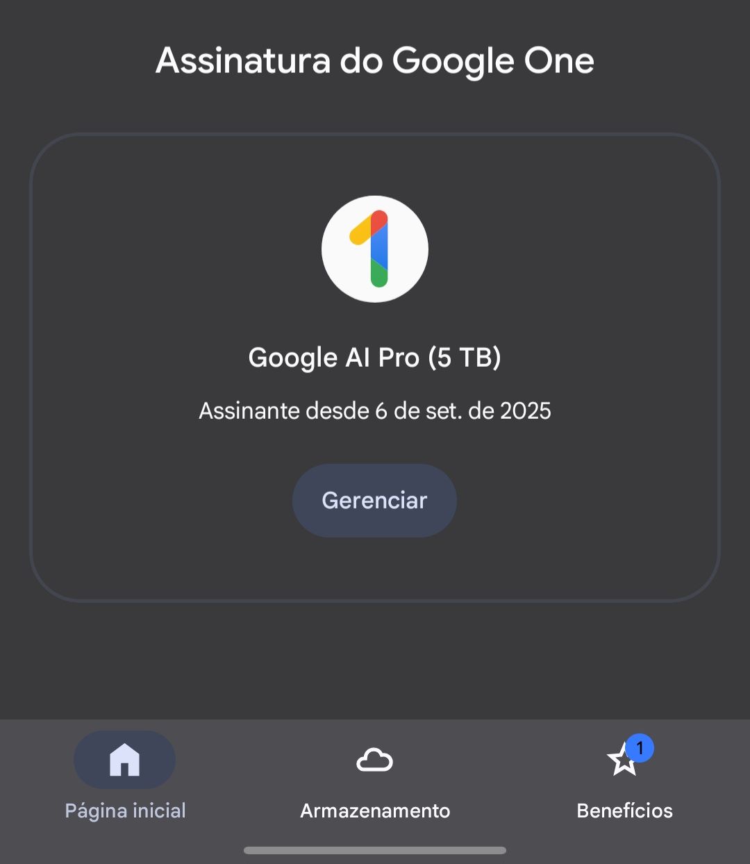 Gemini 3 Pro + 5TB + Veo 3.1 + Flow - 30 Dias