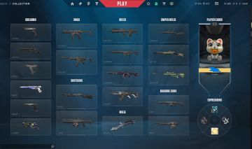 Conta de valorant-Com 7 skins-(preço é negociável)