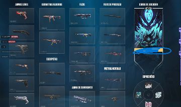 Conta valorant/platina 2/ todos agentes