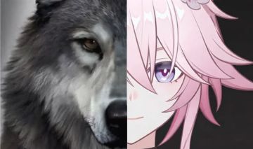 E2S1 Silver Wolf Nv.999, Evanescia E0S1, etc..