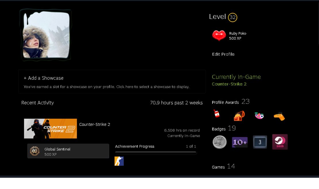 Conta cs com + de 6 mil horas 19k premier nivel 32 steam