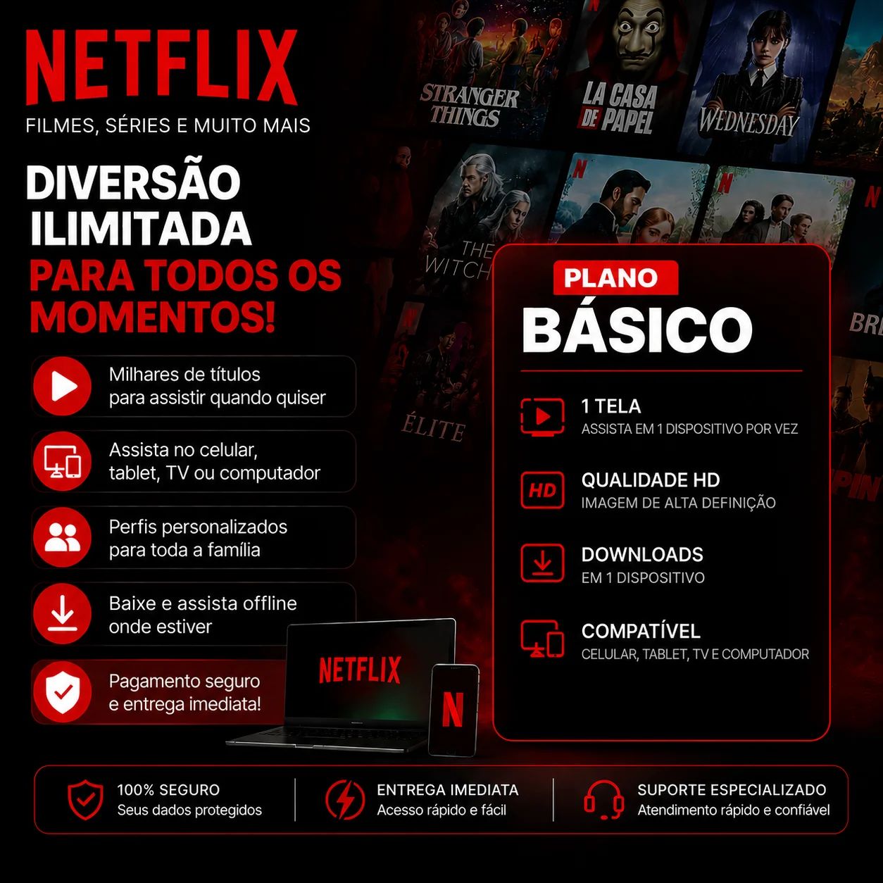 Netflix Tela Privada 30 DIAS