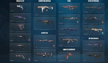 Valorant plat com varias skins