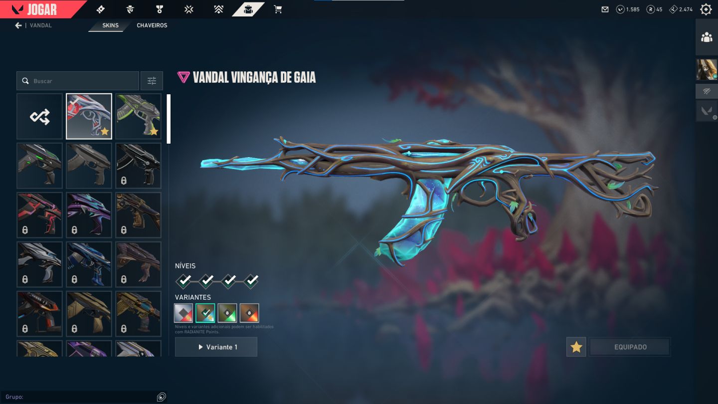 CONTA NÍVEL 43 FULL ACESSO PACOTE CHAMPIONS 2026 + 2 VANDAL - VALORANT