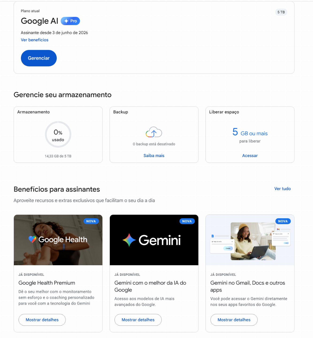 Google AI PRO Gemini + Flow + VEO 3.1 + Antigravity + 5 TB NA SUA CONTA GOOGLE