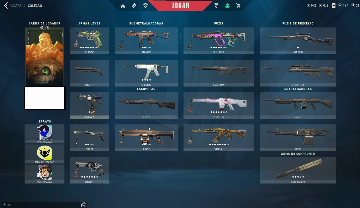 Compte Valorant Avec Tous Les Skins - Compte Neuf, Skins Débloqués - PC