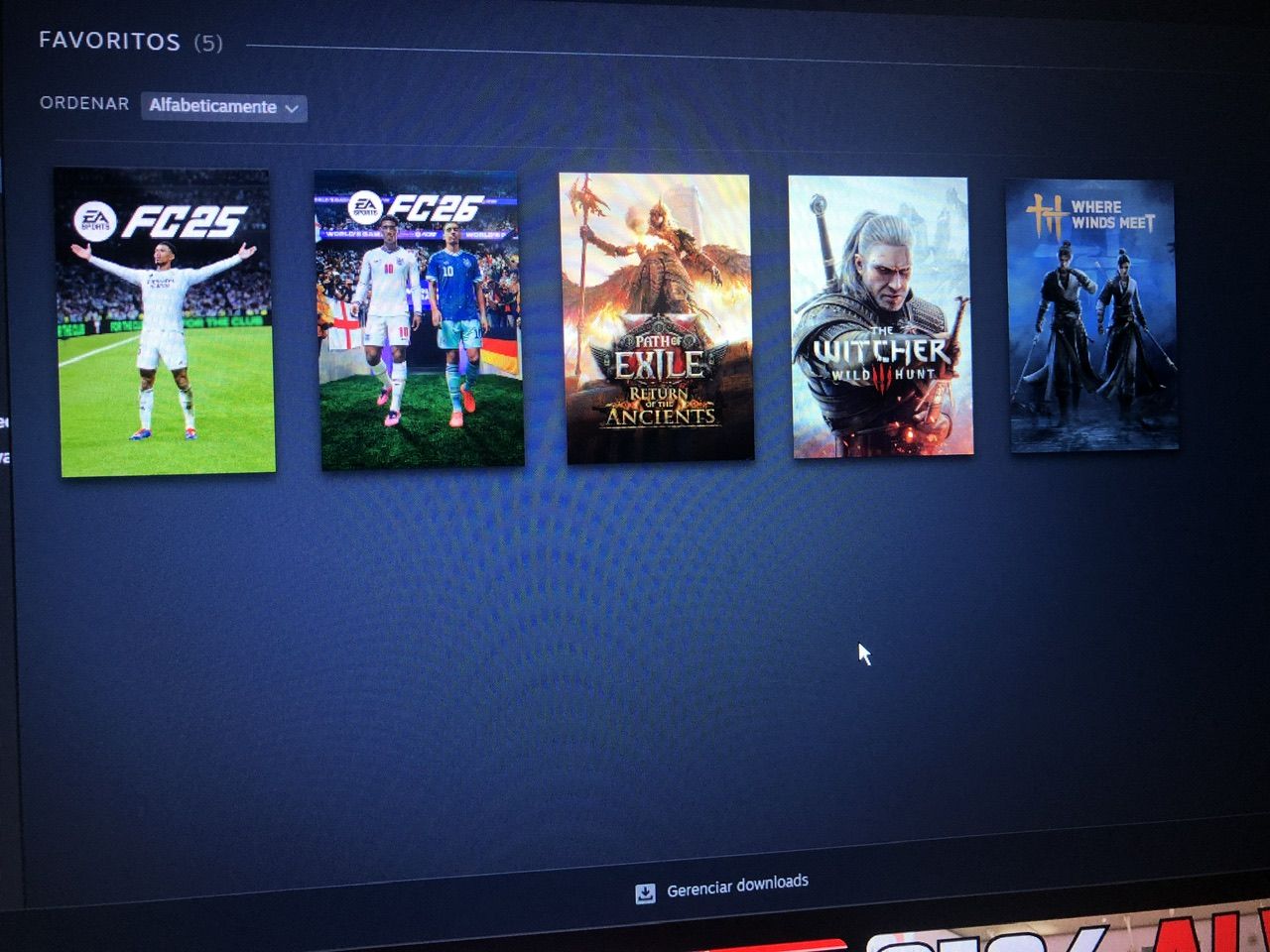 Conta STEAM COM THE WITCHER3+DLCS, PATH OF EXILE 2+PACOTES+ITENS, FC 26 e 25+ITE