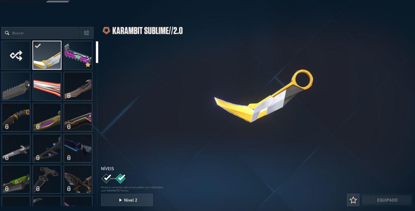 Conta valorant PERFEITA +800 reais gastos
