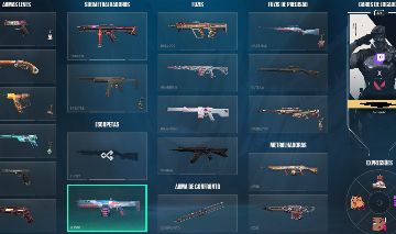 Conta Valorant com criaçao no beta, varias skins de vandal e faca.
