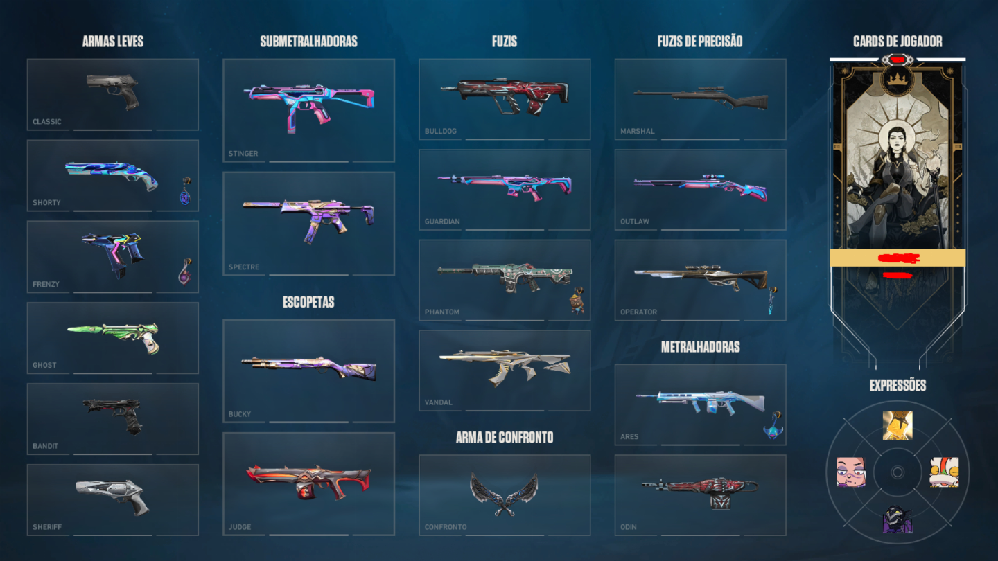 Conta valorant vandal champions 2025 + 5 facas + 42 skins