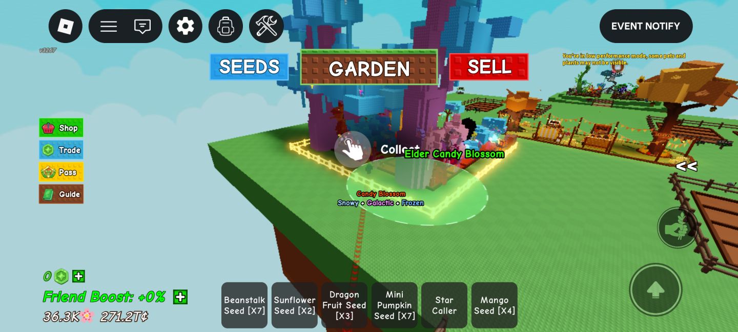 Conta Roblox Top focada em Grow a Garden 2 Elder Candy Blossom Gigante