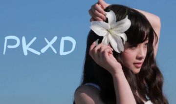 [PROMOÇÃO] PKXD 2019.