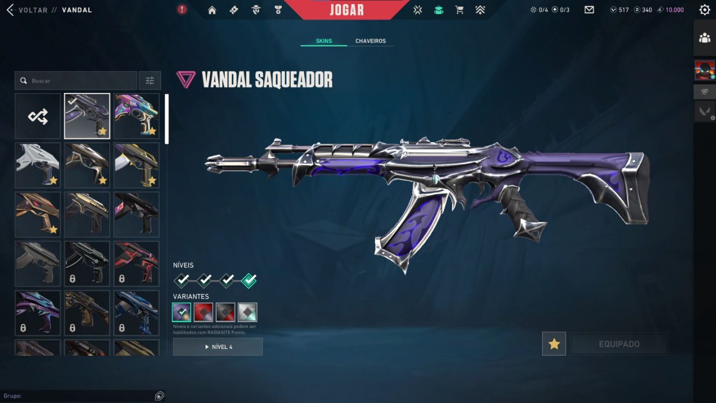 CONTA DO VALORANTE FULL ACESSO VANDAL saqueadora