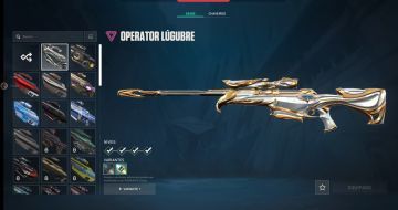 Peak 600rr, Champions 23,Champions 25,arcane,+lol 149skins