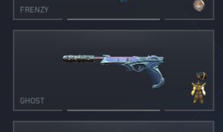 Conta com diversas skins, incluindo skins evoluídas e coleções muito procuradas.