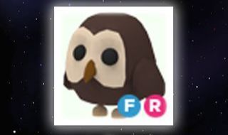 Coruja fr owl fr