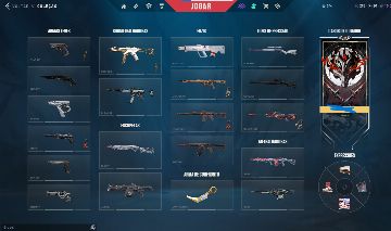 Conta Valorant e LOL (COM MUITAS SKINS)
