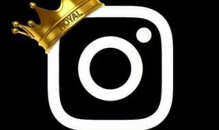 SEGUIDORES/CURTIDAS/VIEWS- Instagram