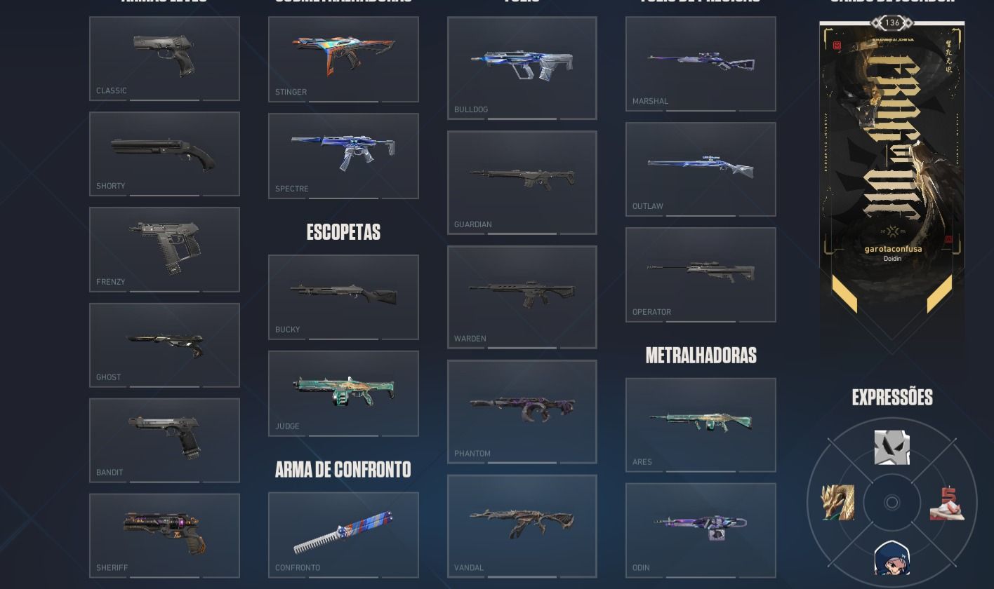 Conta Valorant - Muitas Skins - Preço Baixo