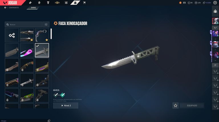 Conta Valorant Elo Plat 2 Cheia de Skins