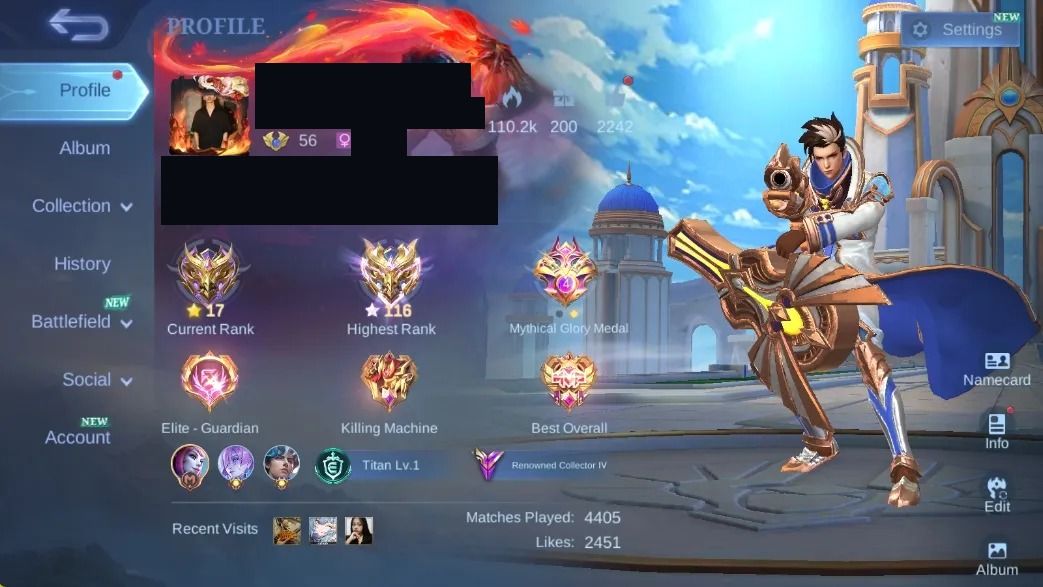 217 SKINS - FULL EMBLEMAS - FULL HEROIS