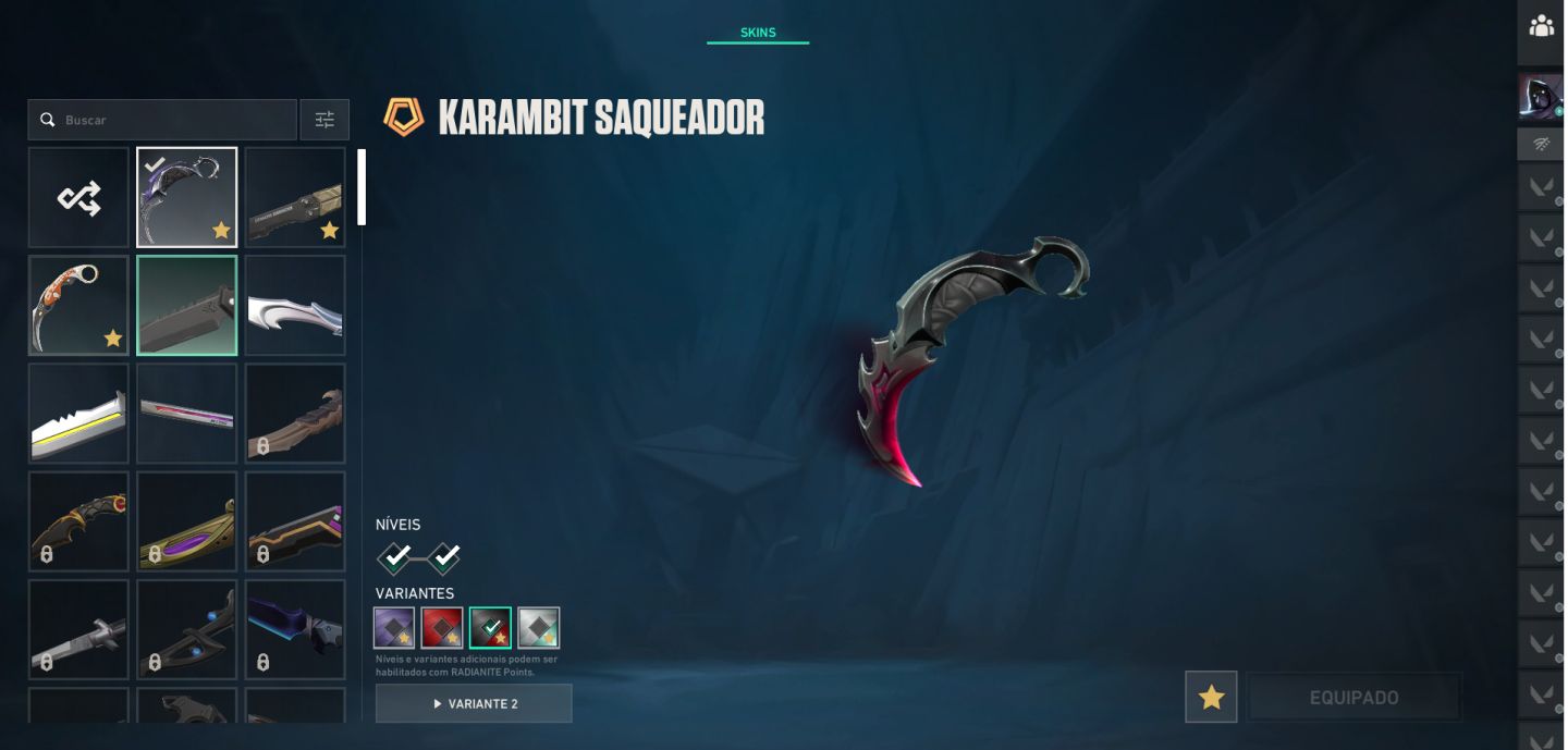 CONTA VALORANT IMORTAL 1 | KARAMBIT + BUTTERFLY + CHAMPIONS 2023