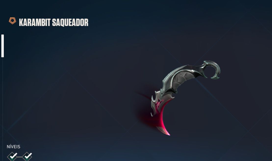 Conta Valorant Lvl 194, Karambit Saqueador, Vandal Sublime