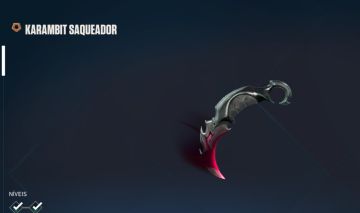 Conta Valorant Lvl 194, Karambit Saqueador, Vandal Sublime