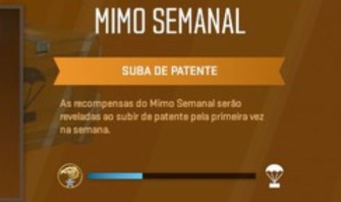 FARMO O MIMO SEMANAL POR VOCÊ!