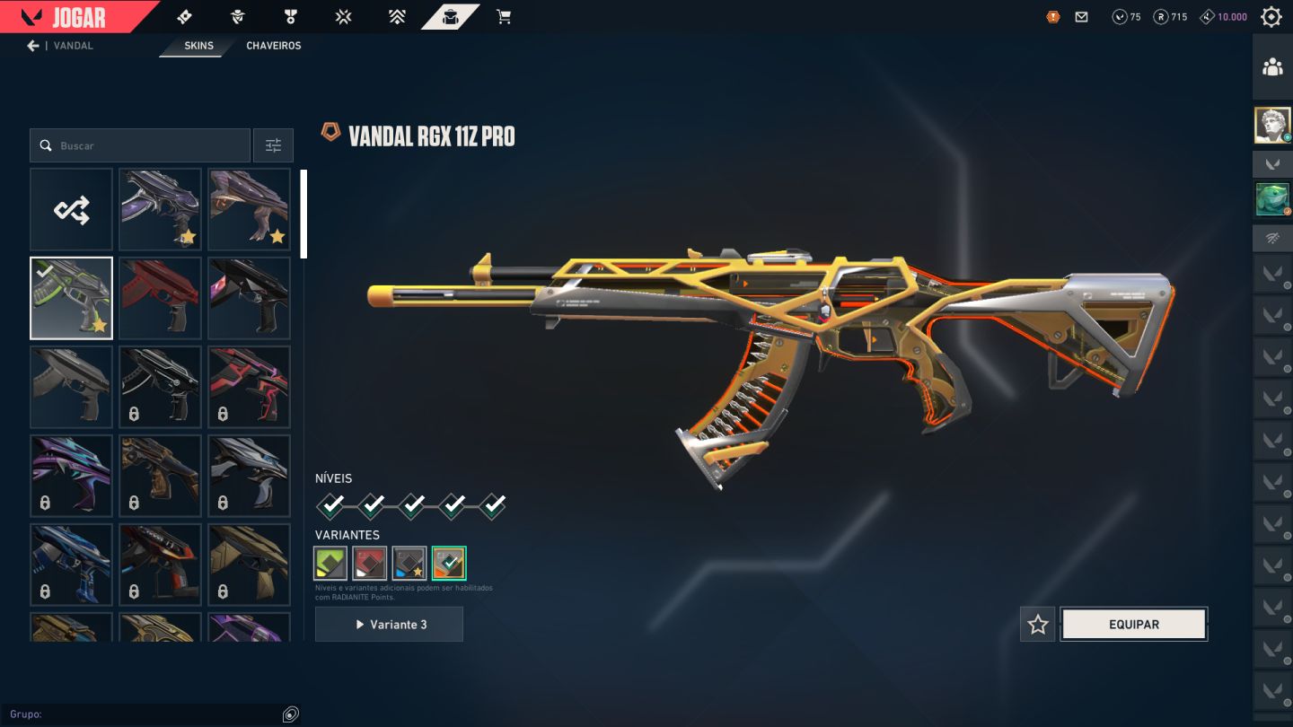 VALORANT | RIOT BUDDY RARO + SKINS + LEVEL 295 | aceito propostas razoáveis!