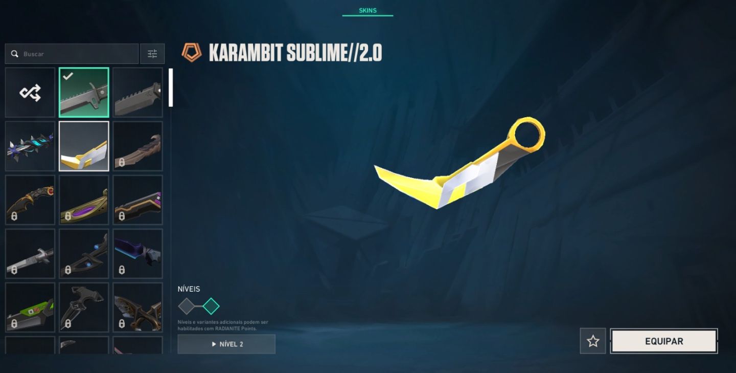 [CONTA VALORANT COM MUITAS SKINS, COMBO VANDAL PRELUDIO + XENOHUNTER NIVEL 246]