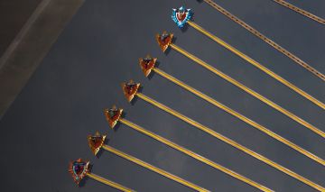 Conta 800 em varias arvores