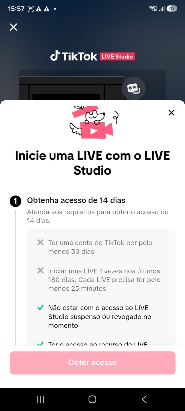 TIK TOK COM 62.OOO SEGUIDORES REIAS + ALTO ENGAJAMENTO PROGRAMAS DISP FALO CHAT