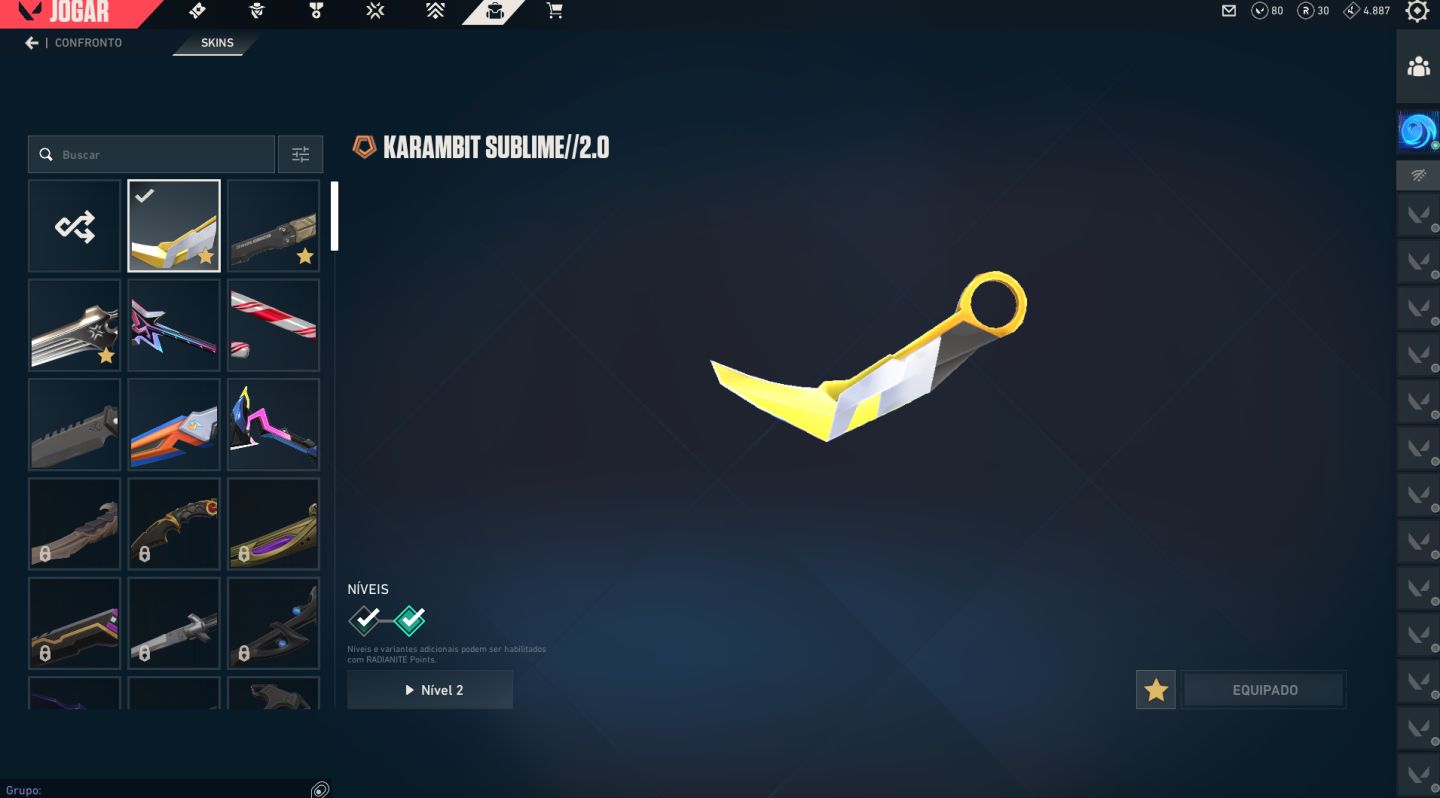 Conta Valorant | Karambit + Vandal Primordium + Várias Skins | Full Acesso