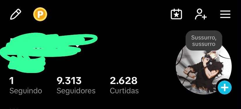 CONTA TIKTOK 9 MIL 300 SEGUIDORES! PÚBLICO 100% BRASILEIRO