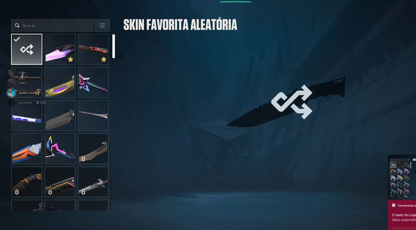 Conta valorant com 12 skin de vandal