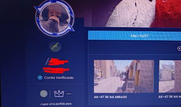 Conta Lv13 GC verificada + 25k Premier