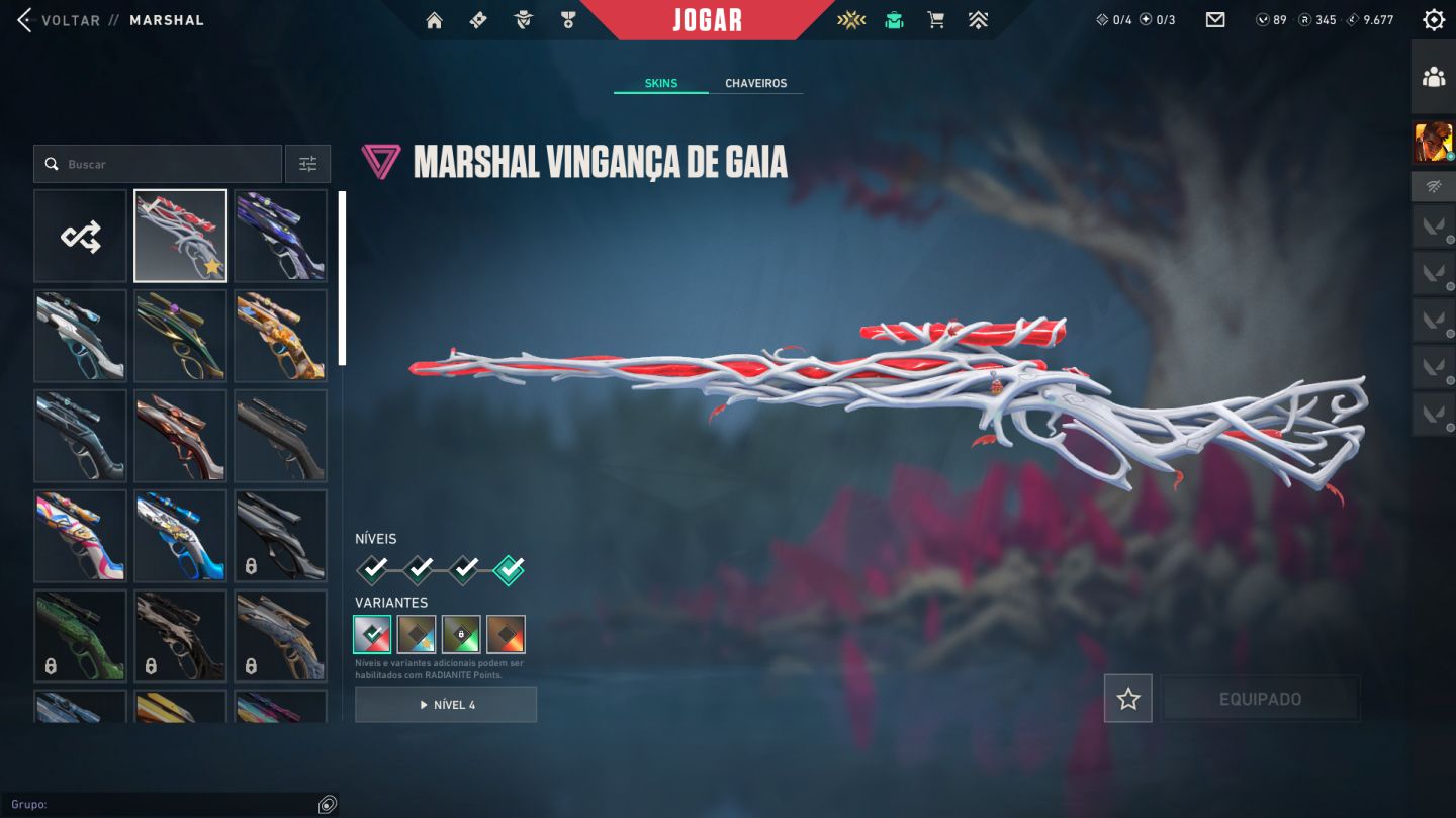 Conta Valorant | 3 Skins do champions +192 SKINS | Dima3 | Lvl338 | 4K investido