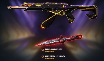 Conta com lock in + champions 23 com cards premier + varias skins