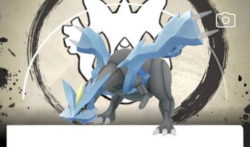 Kyurem Fundo Especial - Go Fest 2026