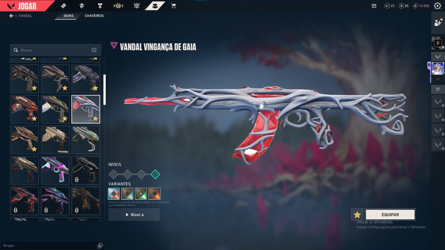 CONTA COM DIVERSAS SKINS E CARDS DO BETA