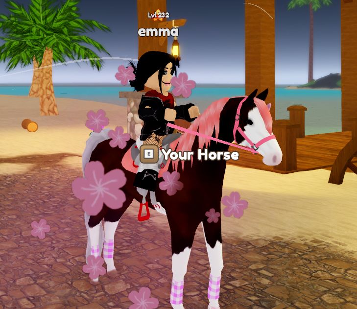 Conta roblox com skins femininas com itens em alguns jogos