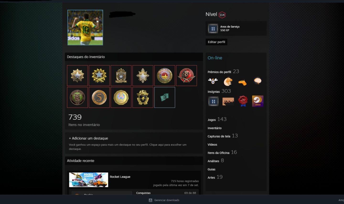 CONTA STEAM 11 ANOS NIVEL 114 COM DIVERSOS JOGOS [MELHOR PREÇO]!!